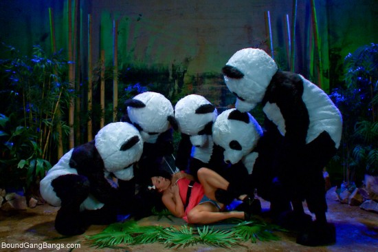 panda furry ashli orion gangbang hardcore